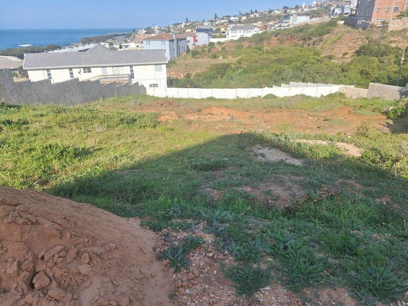 0 Bedroom Property for Sale in De Bakke Western Cape